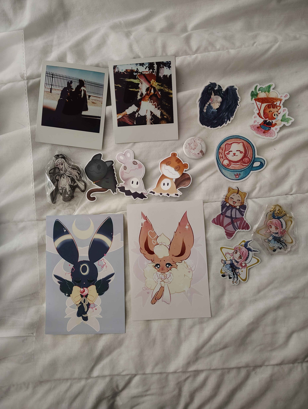 CTCon Haul & polaroids