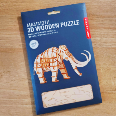Wooden Puzzle