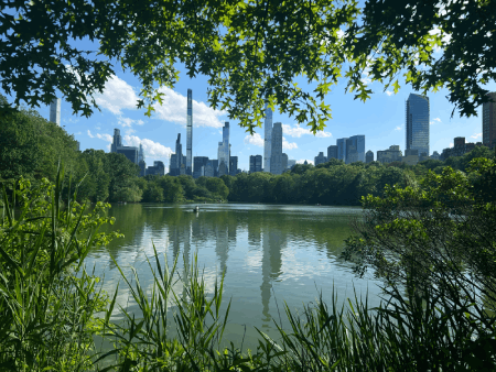 NYC Skyline